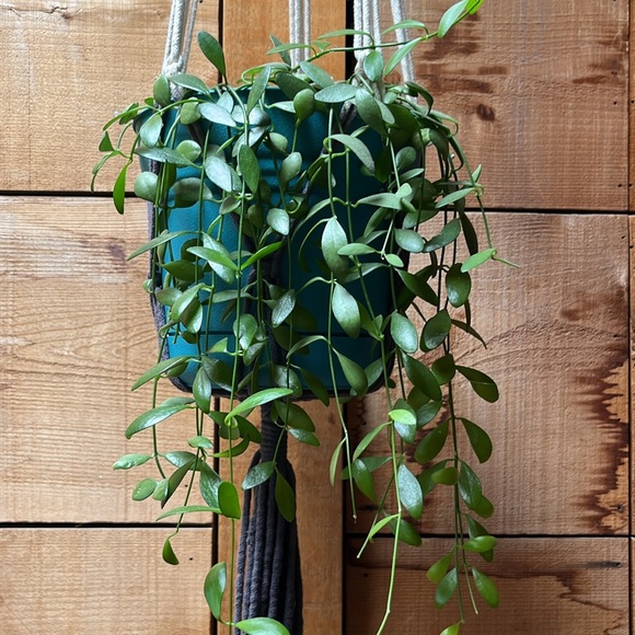 Meet your Posher, Michelle - Picture 2 of 4